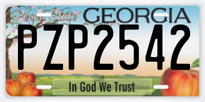 GA license plate PZP2542