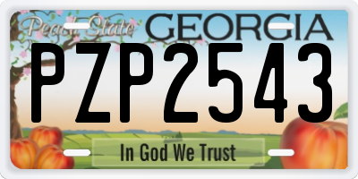 GA license plate PZP2543