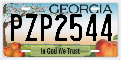 GA license plate PZP2544