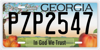 GA license plate PZP2547