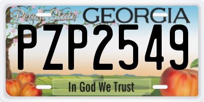 GA license plate PZP2549