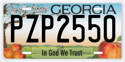 GA license plate PZP2550