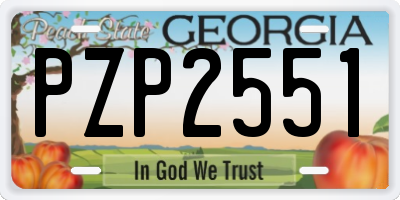 GA license plate PZP2551