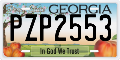 GA license plate PZP2553