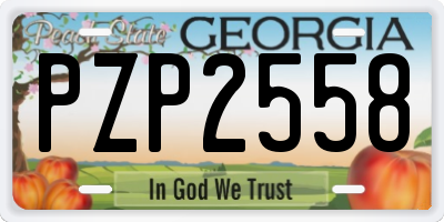 GA license plate PZP2558