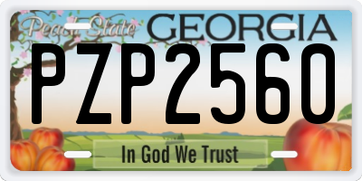 GA license plate PZP2560