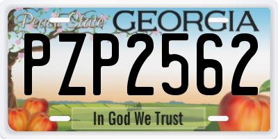 GA license plate PZP2562