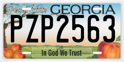 GA license plate PZP2563