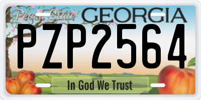 GA license plate PZP2564