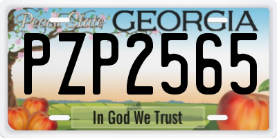 GA license plate PZP2565
