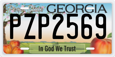 GA license plate PZP2569