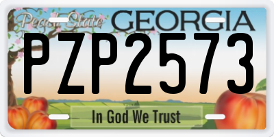 GA license plate PZP2573