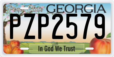 GA license plate PZP2579