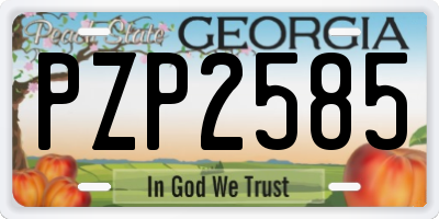 GA license plate PZP2585