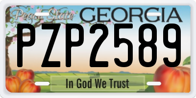 GA license plate PZP2589