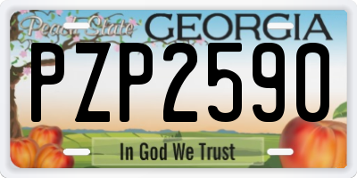 GA license plate PZP2590