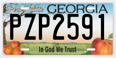 GA license plate PZP2591