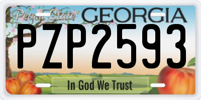 GA license plate PZP2593