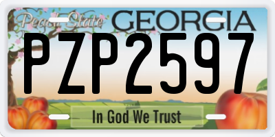 GA license plate PZP2597