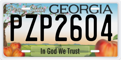 GA license plate PZP2604
