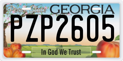 GA license plate PZP2605