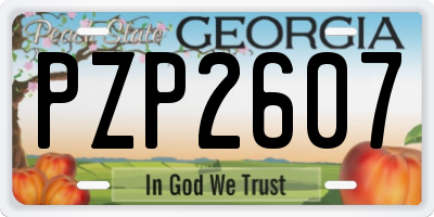 GA license plate PZP2607