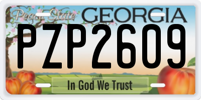 GA license plate PZP2609