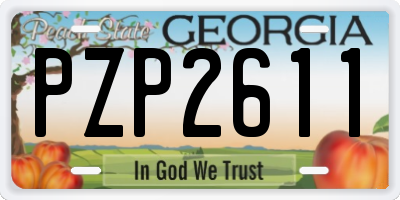 GA license plate PZP2611