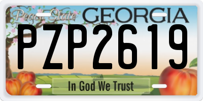 GA license plate PZP2619