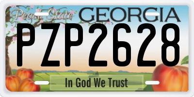 GA license plate PZP2628