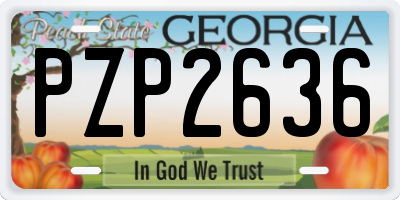 GA license plate PZP2636