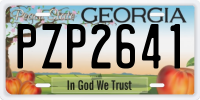 GA license plate PZP2641