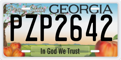 GA license plate PZP2642