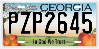 GA license plate PZP2645