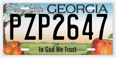GA license plate PZP2647