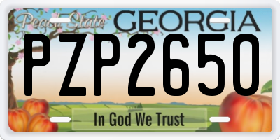 GA license plate PZP2650