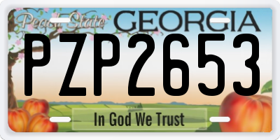 GA license plate PZP2653