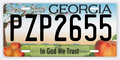 GA license plate PZP2655