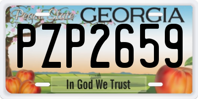 GA license plate PZP2659