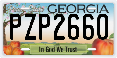 GA license plate PZP2660