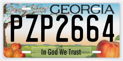 GA license plate PZP2664