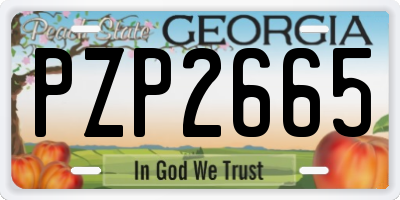 GA license plate PZP2665
