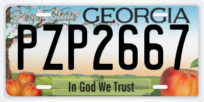 GA license plate PZP2667