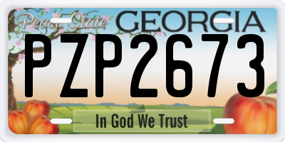 GA license plate PZP2673