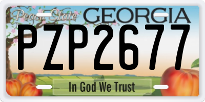 GA license plate PZP2677