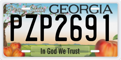 GA license plate PZP2691