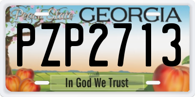GA license plate PZP2713