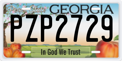 GA license plate PZP2729