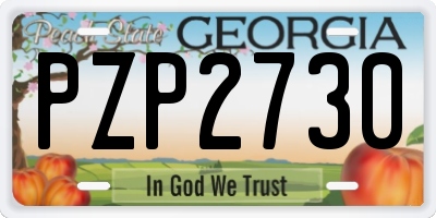 GA license plate PZP2730