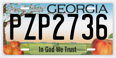 GA license plate PZP2736